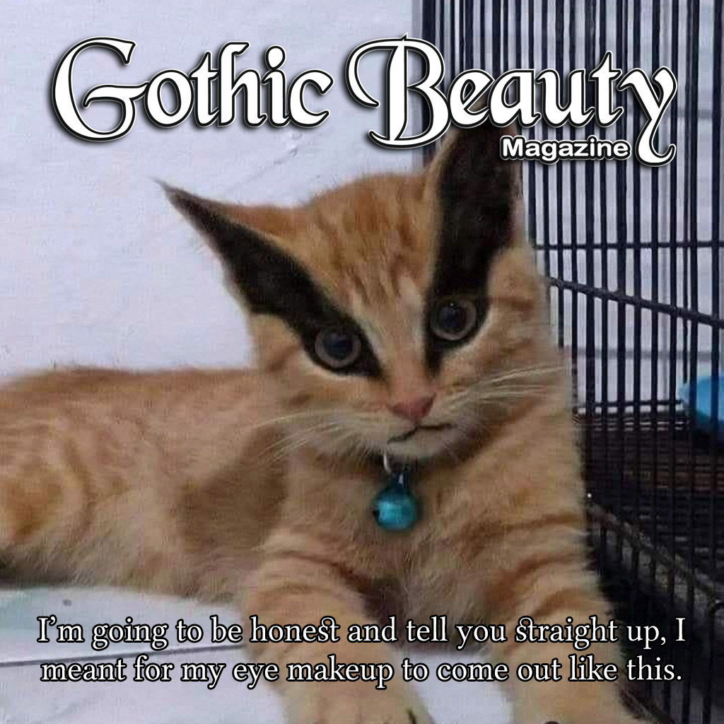 GothicBeautyMag's tweet photo. I’m going to be honest and tell you straight up, I meant for my eye makeup to come out like this.
#wingliner #gothicmakeuplook
#gothcat #gothcats #gothcatsgonnagoth #gothmakeup #gothiccat #gothiccats #gothicmakeup #gothmemes https://t.co/OIGoBiSUob