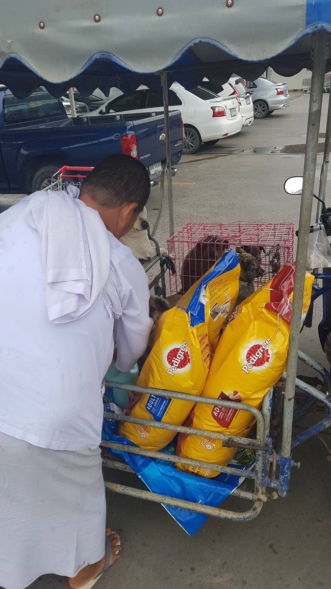 Nice and fortunate to be able to help a dogs hospice run by local nun