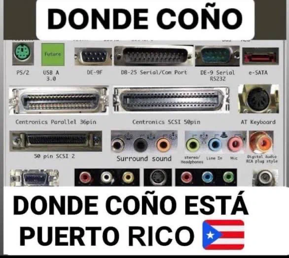 frigosouul's tweet image. 