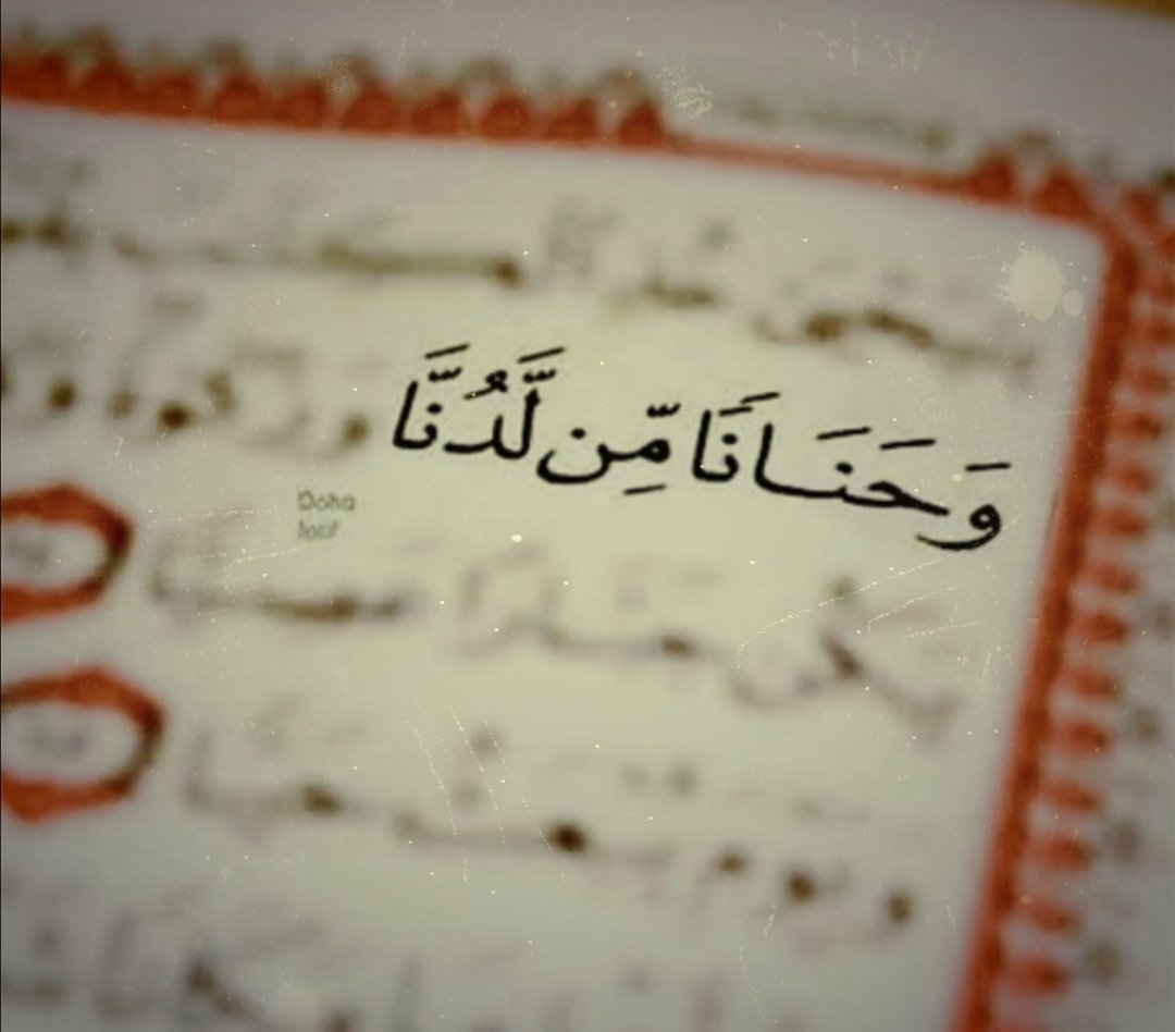 ❖ حسّان 𓅅 tweet media