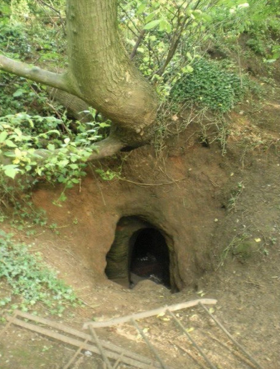 JagvarGames's tweet photo. What lives down here? https://t.co/fLxKcOvhpC