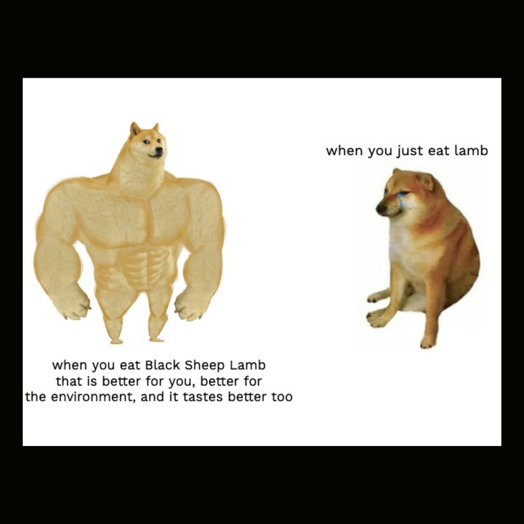 blacksheepeat's tweet image. if you found yourself in an situation of distress involving a bland and/or boring meal we're here for you 🙌⁠
⁠
#BlackSheepFoods #FlavorFreedom