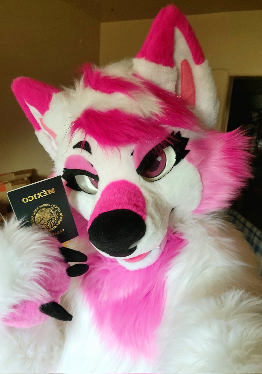 macchiadoe's tweet photo. Pronouns: She/her
Height: 5'5
Shoe size: 7 1/2
Zodiac sign: Libra ♎️ 
Tattoos: 0
Piercings: 5
Fave colors: pink, pastel colors
Fave drinks: Mexican coke, agua Fresca de melon 🍈 https://t.co/SfgsLBZVYH