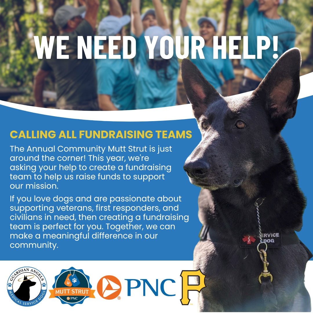📣Calling all dog lovers🐶 & heroes at heart! We need YOU to join our #pawsome fundraising teams for Guardian Angels'  Annual Community #MuttStrut presented by @PNCBank  
➡️ givebutter.com/c/MuttStrut23
#pittsburghevents #pittsburghpirates #servicedogs #helpingveterans #pittsburgh