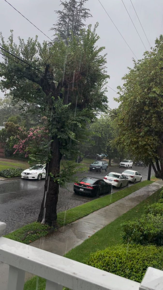 One day after the hurricane in Los Angeles, residents are overly cautious.  #hurricane #los angeles life