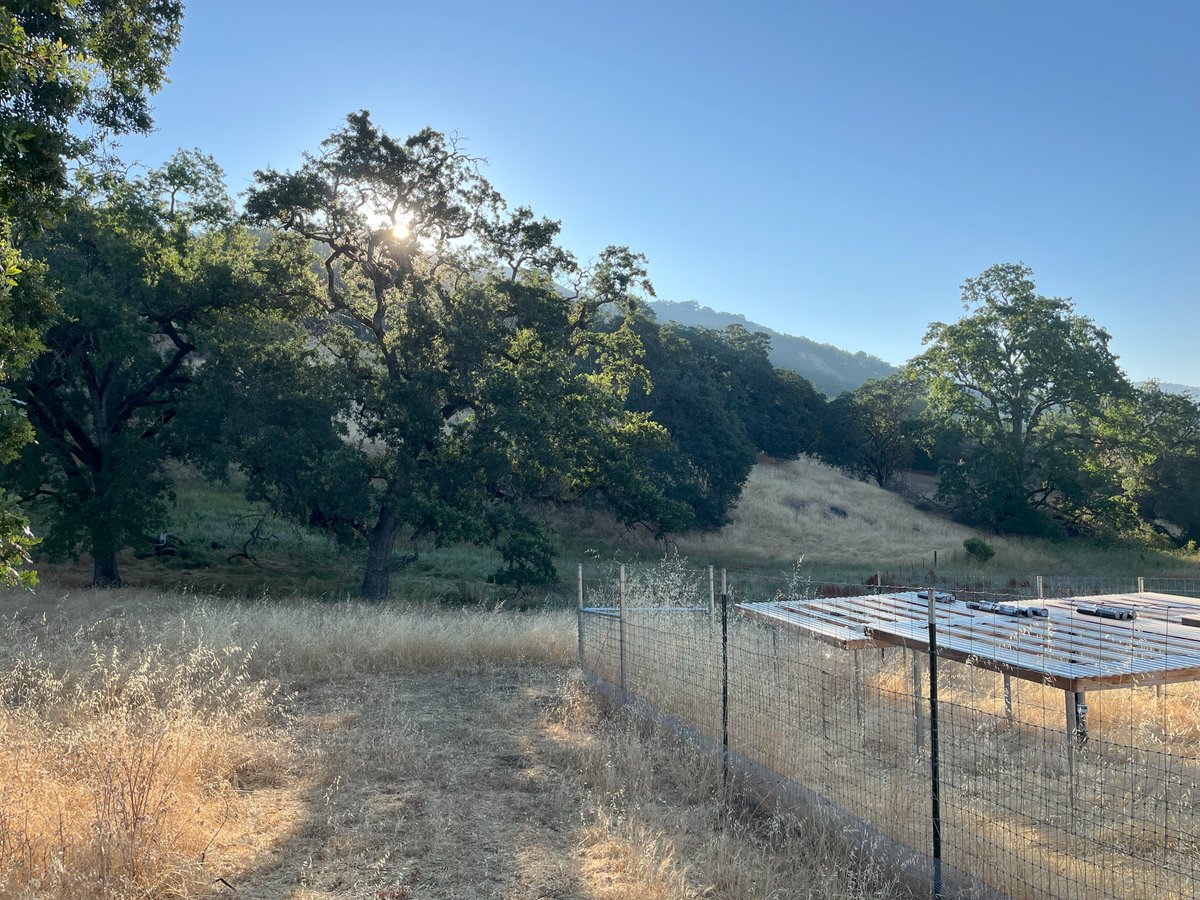 Some shots in Hopland, CA with the UC Berkeley team taking soil core samples. Good squad, good fun, good weather (until it hit 100F). And you know it wouldn't be #fieldwork without #colorcoordinated outfits, landscape photos, and action shots. #soilecology #soilmicrobes