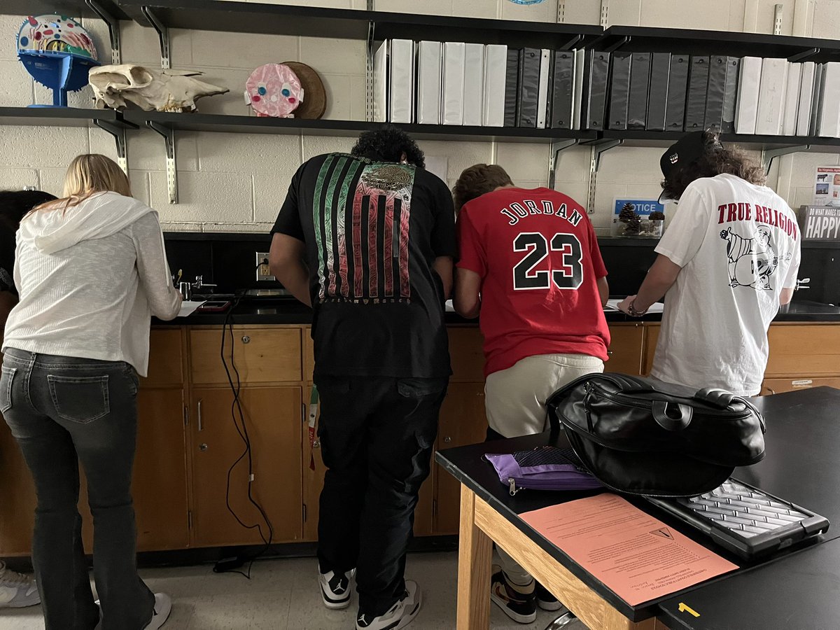 Susan Anderson tweet media