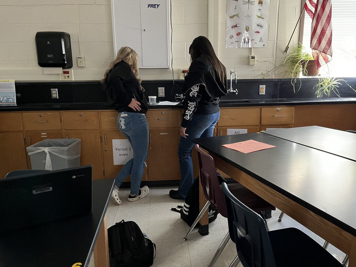 Susan Anderson tweet media