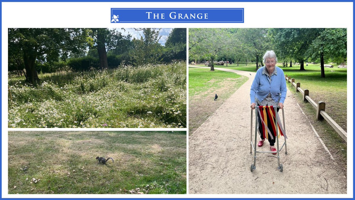 A group of our residents spent their day at Bushy Park. They had a look around the park, seeing all the wonderful plants and animals. Everyone really enjoyed their day, and we were very lucky to have beautiful weather while we were visiting the park.
#carehomeactivities