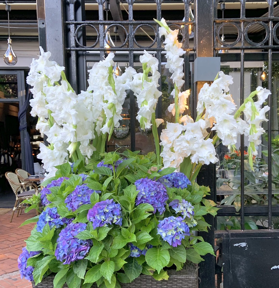 peac4love's tweet photo. 💐🍸🍷🎶🌈🌅#hamburg today🌆🌊🥀💜💟🌹🌙#GoodEvening Friends!🌖🌾🎨❤☮peace☮✨love💖✨ #NoWar !🌎🌳 https://t.co/L6wpYdNFu6