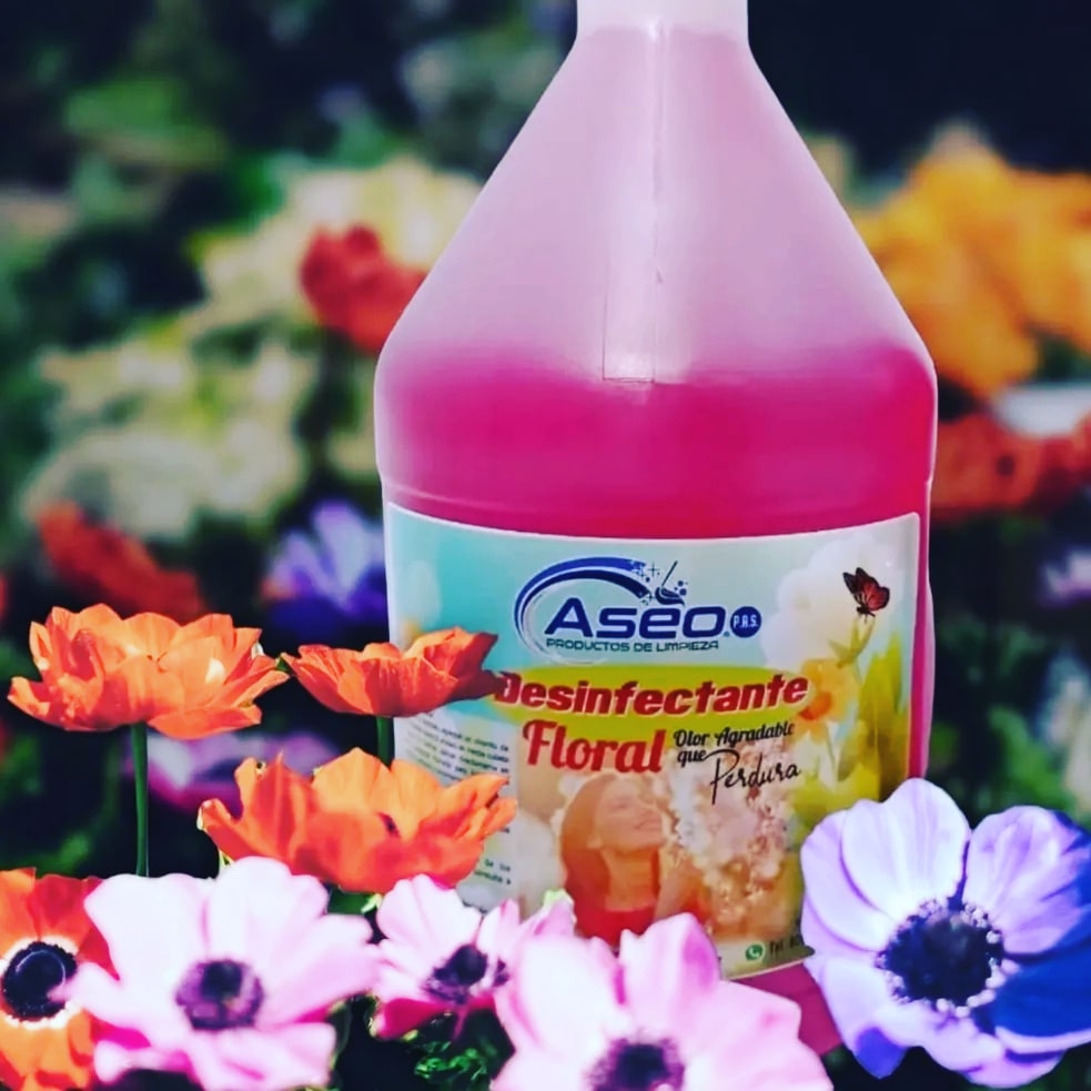 rsosa01's tweet photo. Desinfectante Floral Aseo  @ProductosAseo1 https://t.co/HVeDzHGwBo