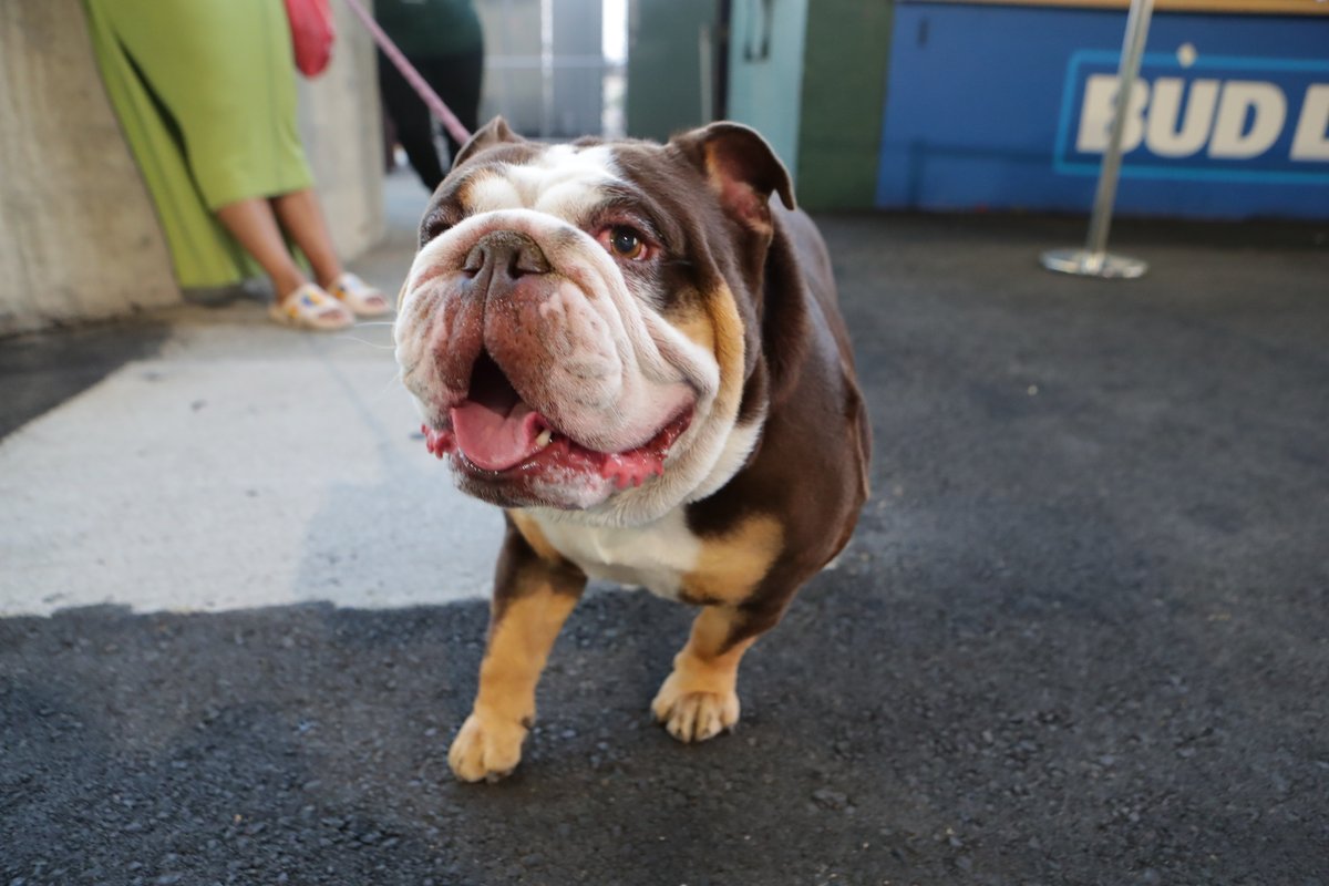 Athletics tweet media