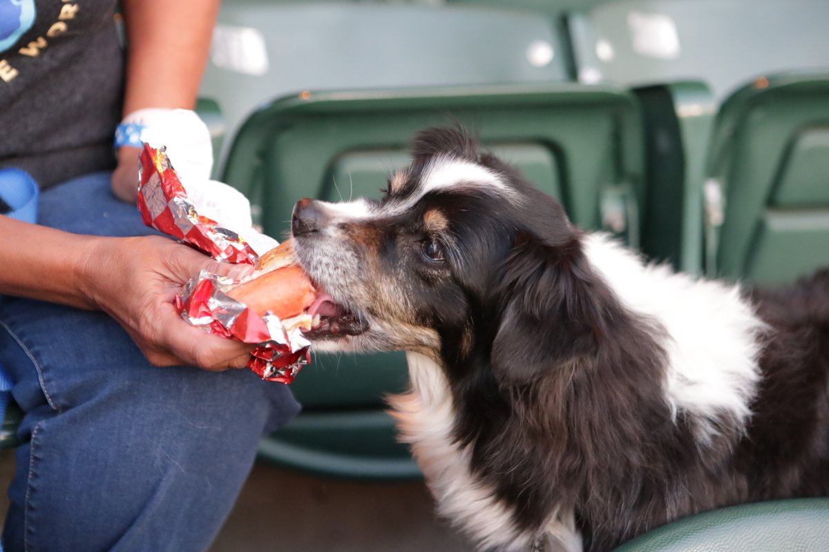 Athletics tweet media