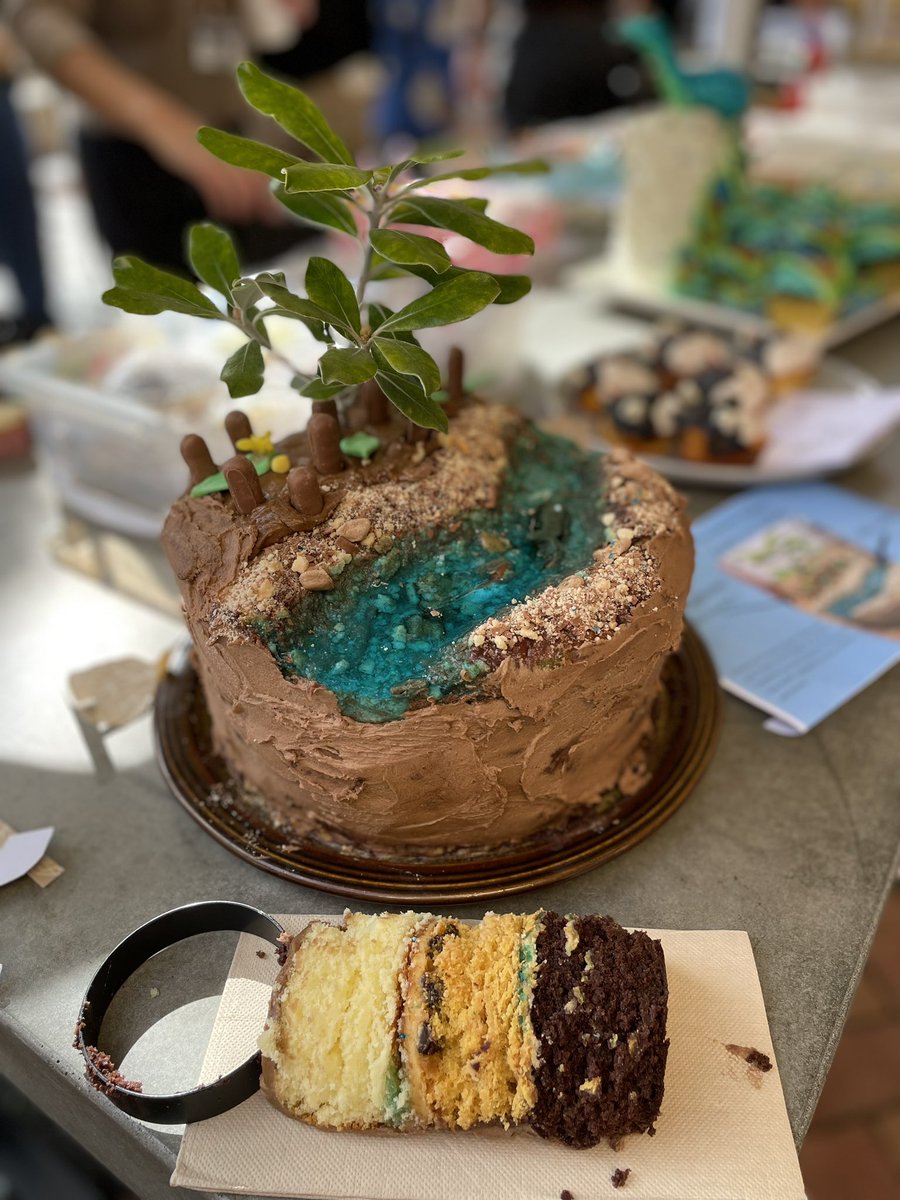 The Future Coasts Lab (@futurecoastslab) on Twitter photo Check out this amazing entry into the National Science Week bake off! A mangrove scene, complete with a tidal creek (+fish), pneumatophores, sand and mud - plus surprise sediment layers when you core it! Fantastic effort by <a href="/sophkaterussell/">Sophie Russell</a> 😍 🍰
#NationalScienceWeek
#BakeOff Check out this amazing entry into the National Science Week bake off! A mangrove scene, complete with a tidal creek (+fish), pneumatophores, sand and mud - plus surprise sediment layers when you core it! Fantastic effort by <a href="/sophkaterussell/">Sophie Russell</a> 😍 🍰
#NationalScienceWeek
#BakeOff