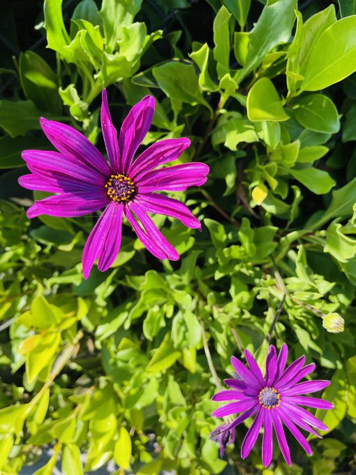 Sit with me once more  Exposed heart and shattered soul  Soften suffering https://t.co/qcBnJYnMtp