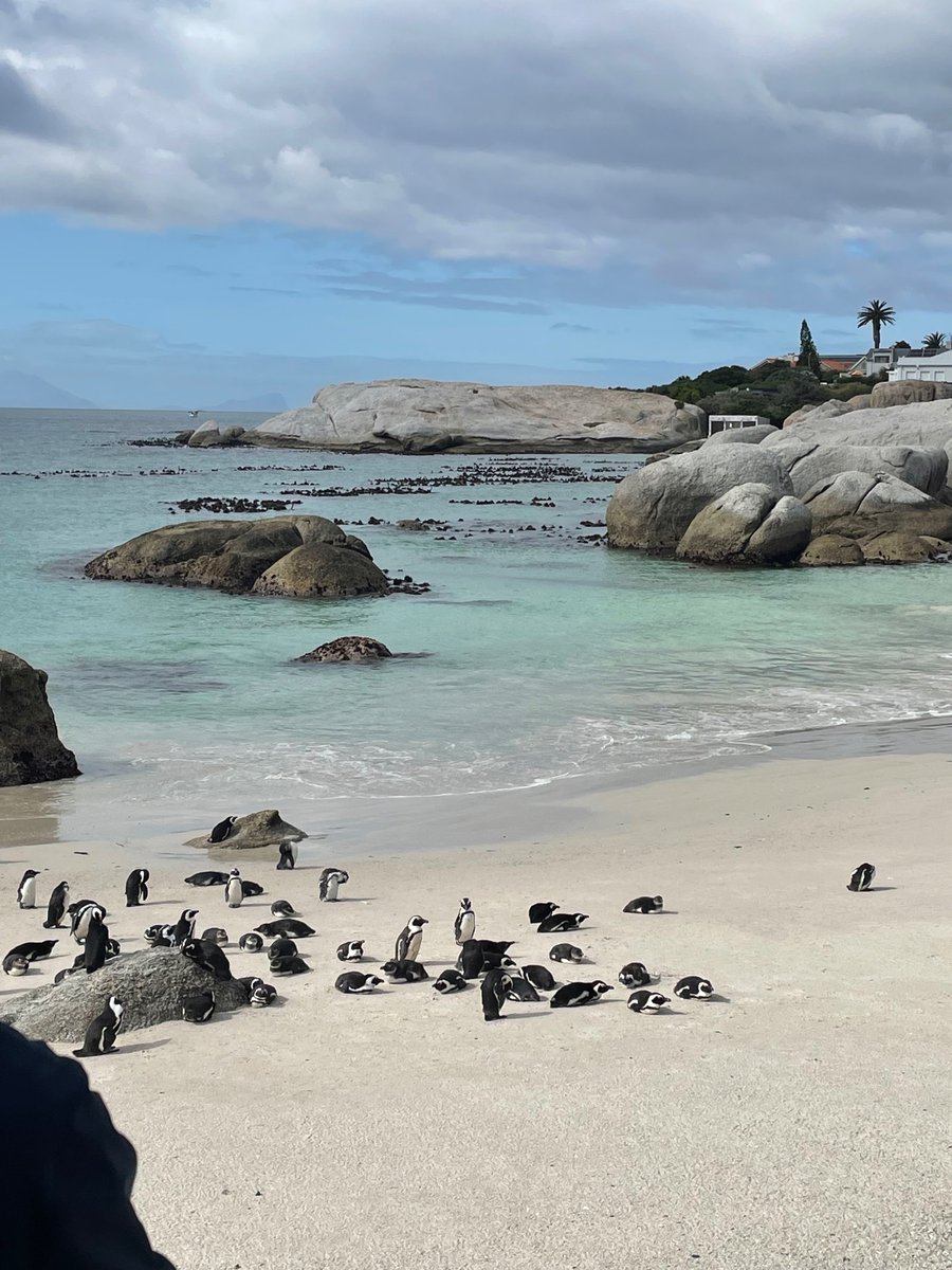 Bruce_YuYue's tweet photo. Just spent my last week at #COMPASS2023 in Cape Town. Presented my work on food waste reduction intervention and had fruitful discussions with global scholars about the contribution of computing system in sustainability🌍 Everything in Cape Town is just too lovely. https://t.co/kxmX7zcFk9