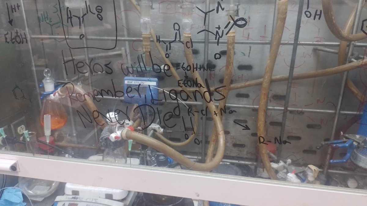 HugoToledoHdz tweet media