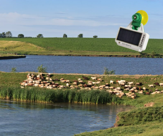 ceres_tag's tweet photo. Monitor your livestocks' movement and behaviour patterns using Ceres Ranch and receive daily pasture feed intake metrics! 📍⏰🌾
Find out more at https://t.co/AdiPjhoIqn
#animalhealth #sustainability #reusableagtech #smarteartagforlivestock #aginnovation #PastureFeedIntake https://t.co/EiBo3btb2M