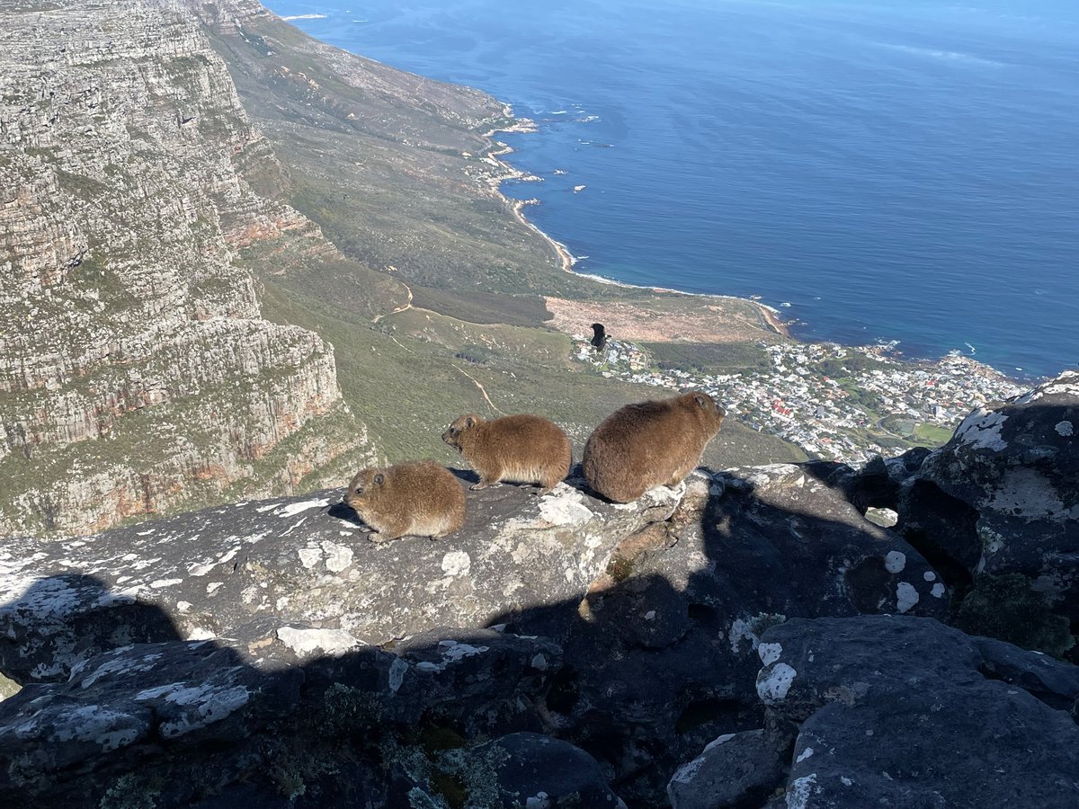 Bruce_YuYue's tweet photo. Just spent my last week at #COMPASS2023 in Cape Town. Presented my work on food waste reduction intervention and had fruitful discussions with global scholars about the contribution of computing system in sustainability🌍 Everything in Cape Town is just too lovely. https://t.co/kxmX7zcFk9