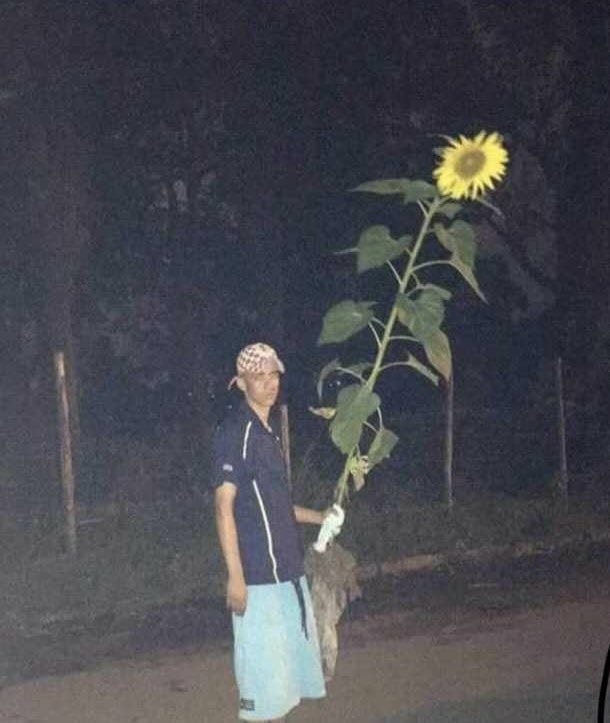 O Brasil Que Deu Certo tweet media