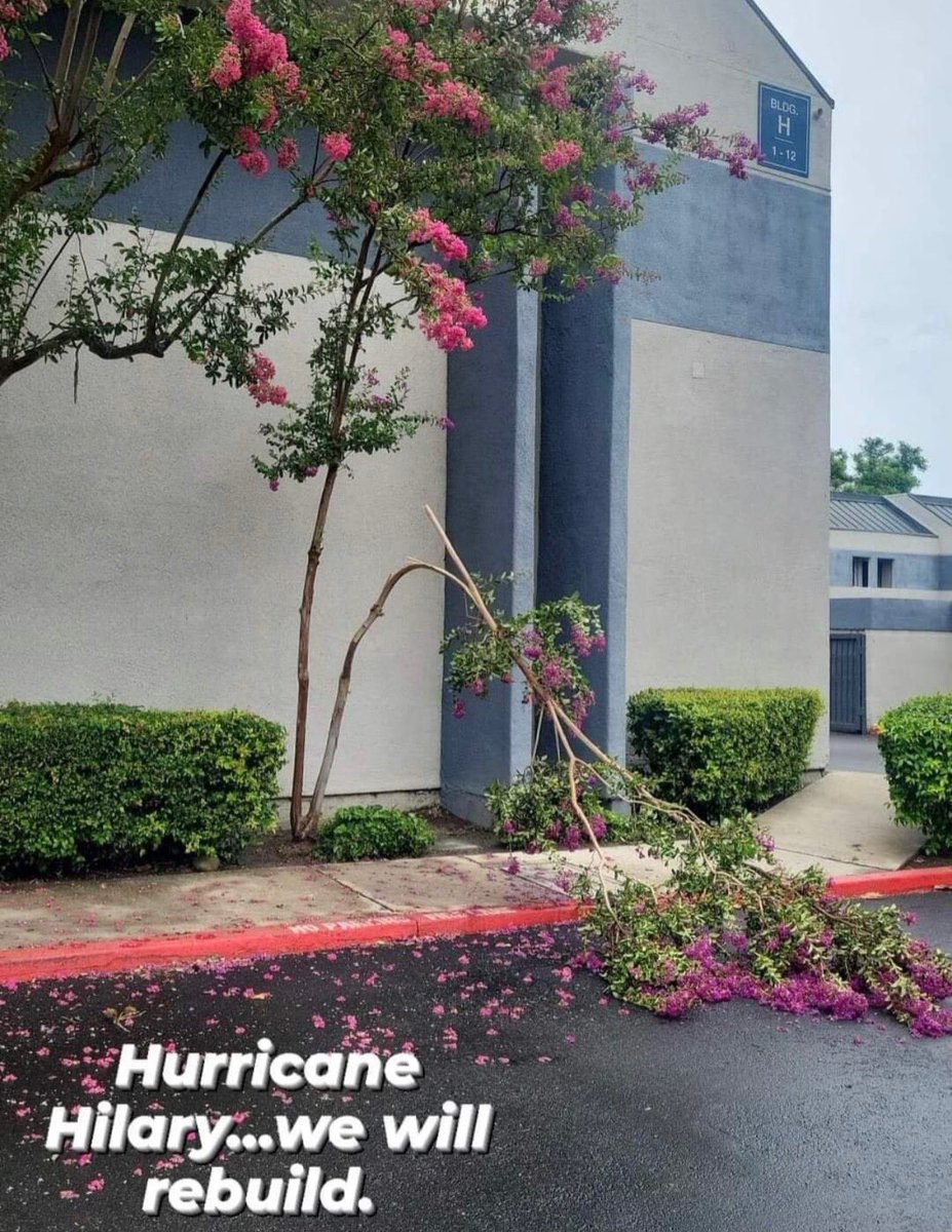 franksgarcia4's tweet photo. Despite the damage.. #CalStrong https://t.co/vYcRroDxVK