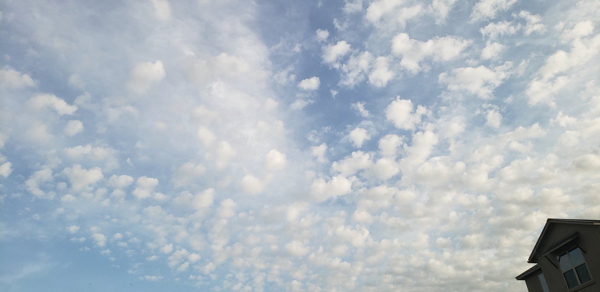 atxwxgirl's tweet photo. Today was a good day #atxwx #txwx #cloudtime #rainrelief #harold #tropical https://t.co/uwgjytKHxE