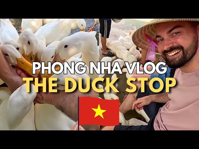 seeingthrusadri's tweet photo. I VLOGGED the Duck Stop & it was wholesome af. If you want 100 ducks nibbling your body, you need to go.
LINK BELOW
https://t.co/ByJ4WlmKzI
#duckstop #theduckstop #vietnam #phongnha #southeastasia #travel #travelvietnam #visitvietnam #travelling #youtube #vlog #vlogging #fun https://t.co/b0Hrzg894k