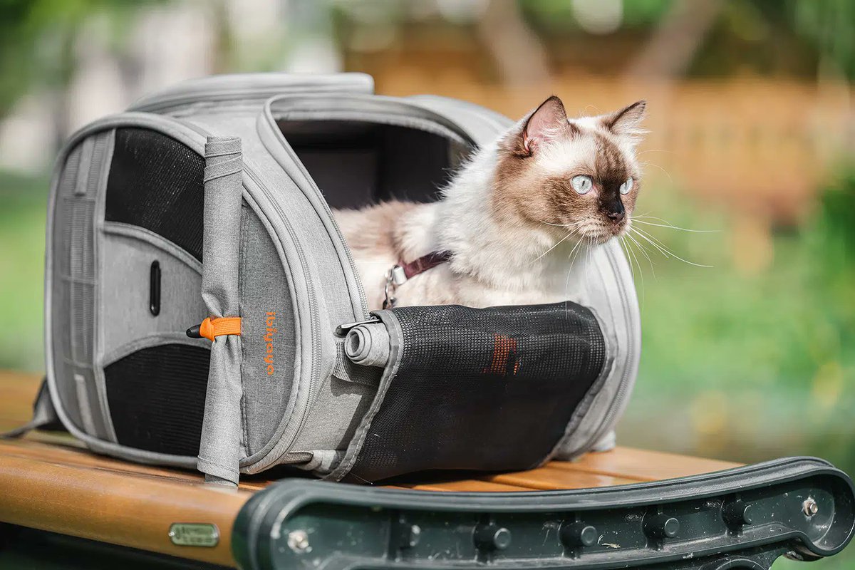 Ibiyayastroller's tweet image. Spacious adventure cat backpack carrier

Airline-approved cat carreir
Breathable &amp;amp; water-repellant fabric
Hands-free, spacious, secure design, and ergonomic
Scratching pad and pee pad provision

#cat #catbackpack #catcarrier
bit.ly/cat-backpack-c…