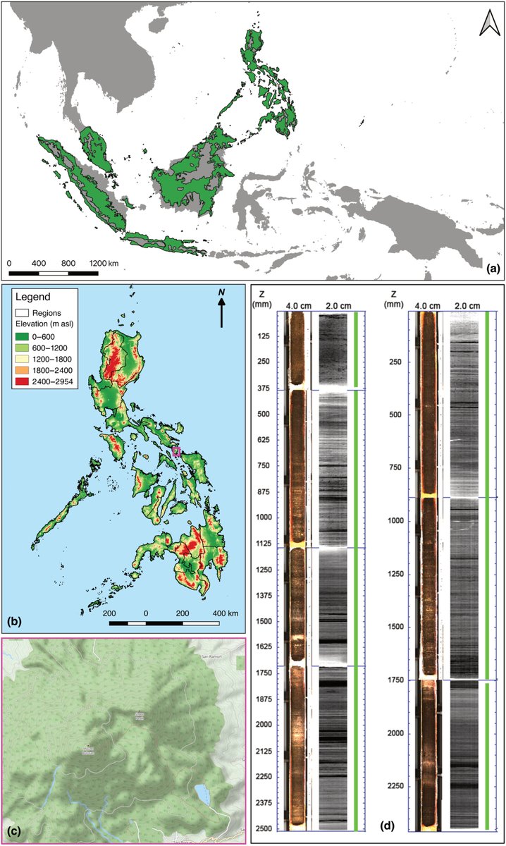 New Phytologist (@newphyt) on Twitter photo Impacts of past #climate changes and nutrient availability on a lowland dipterocarp #forest
Prohaska et al. <a href="/Ana_Prohaska/">Ana Prohaska</a> <a href="/alistairseddon/">Alistair Seddon</a> <a href="/AndiSmith10/">Andi Smith</a>
📖 ow.ly/NIfH50PBYtw Impacts of past #climate changes and nutrient availability on a lowland dipterocarp #forest
Prohaska et al. <a href="/Ana_Prohaska/">Ana Prohaska</a> <a href="/alistairseddon/">Alistair Seddon</a> <a href="/AndiSmith10/">Andi Smith</a>
📖 ow.ly/NIfH50PBYtw