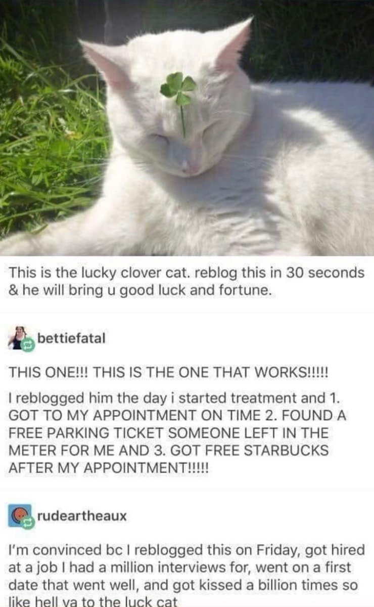 Brandon 🦂 (@thuislander) on Twitter photo 