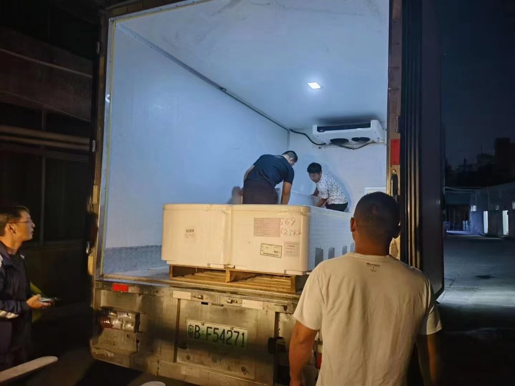 ClearImportPro's tweet image. &quot;🌅 Early morning catch. 🛫 Arrived at the airport by 8 PM. ✅ Inspections done by 12, delivered to the customer. 🚚 Tsangshan&apos;s flavor is authentically fresh. 🐟 Pacific Bluefin Tuna, successfully cleared for import. 🌊🐠 #ImportExcellence #FreshnessUnleashed&quot;