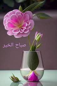 🇦🇪 مجلس_حوار_العقول🇦🇪 tweet media