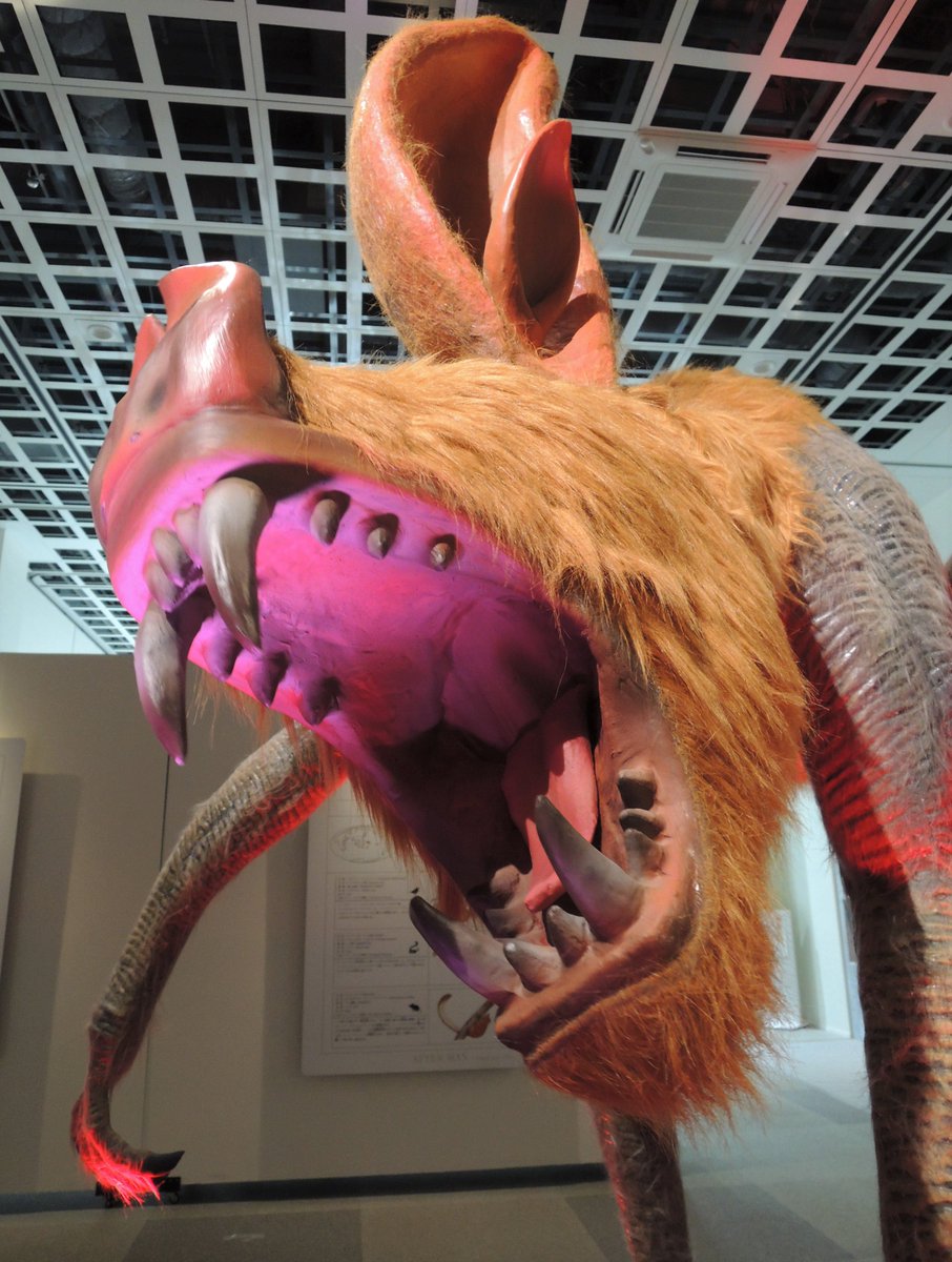 アフターマン展青森は、今月27日まで！
残りわずかです！！
お見逃しなく！！！

#アフターマン展 #アフターマン展青森 #青森県 #青森市