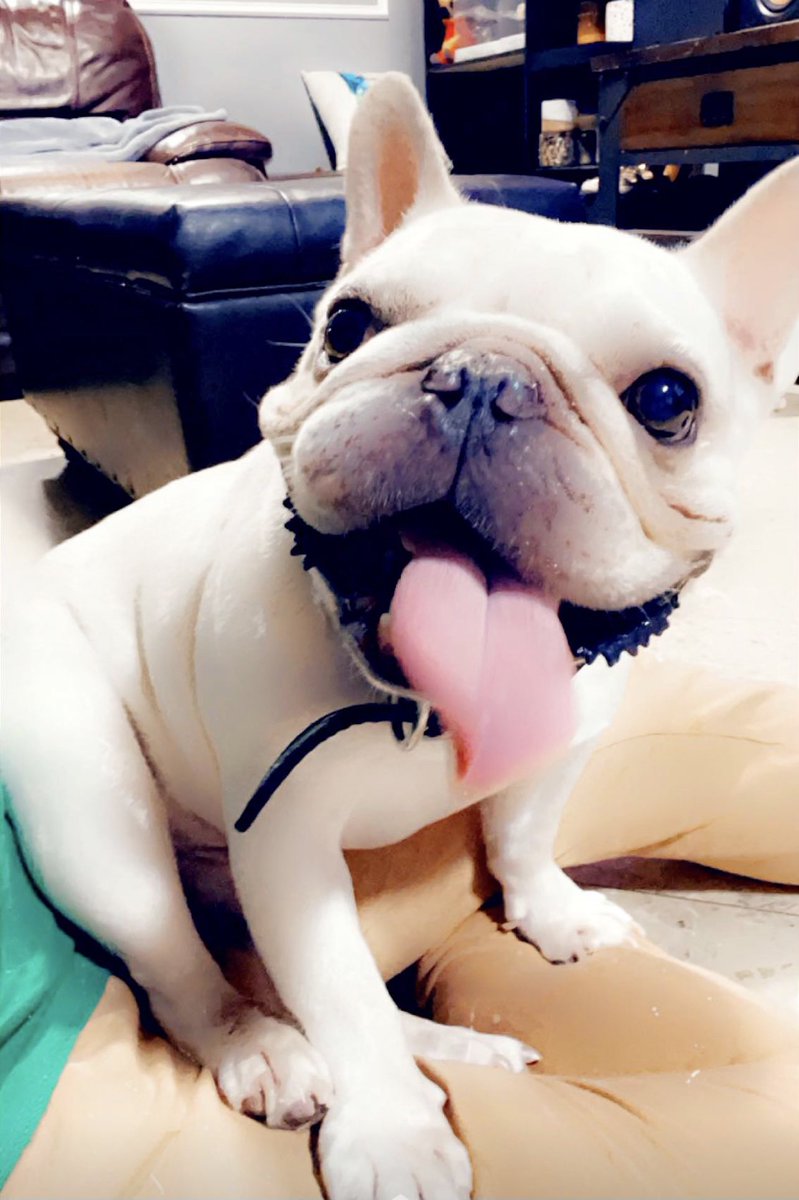 ERICK LOPEZ tweet media