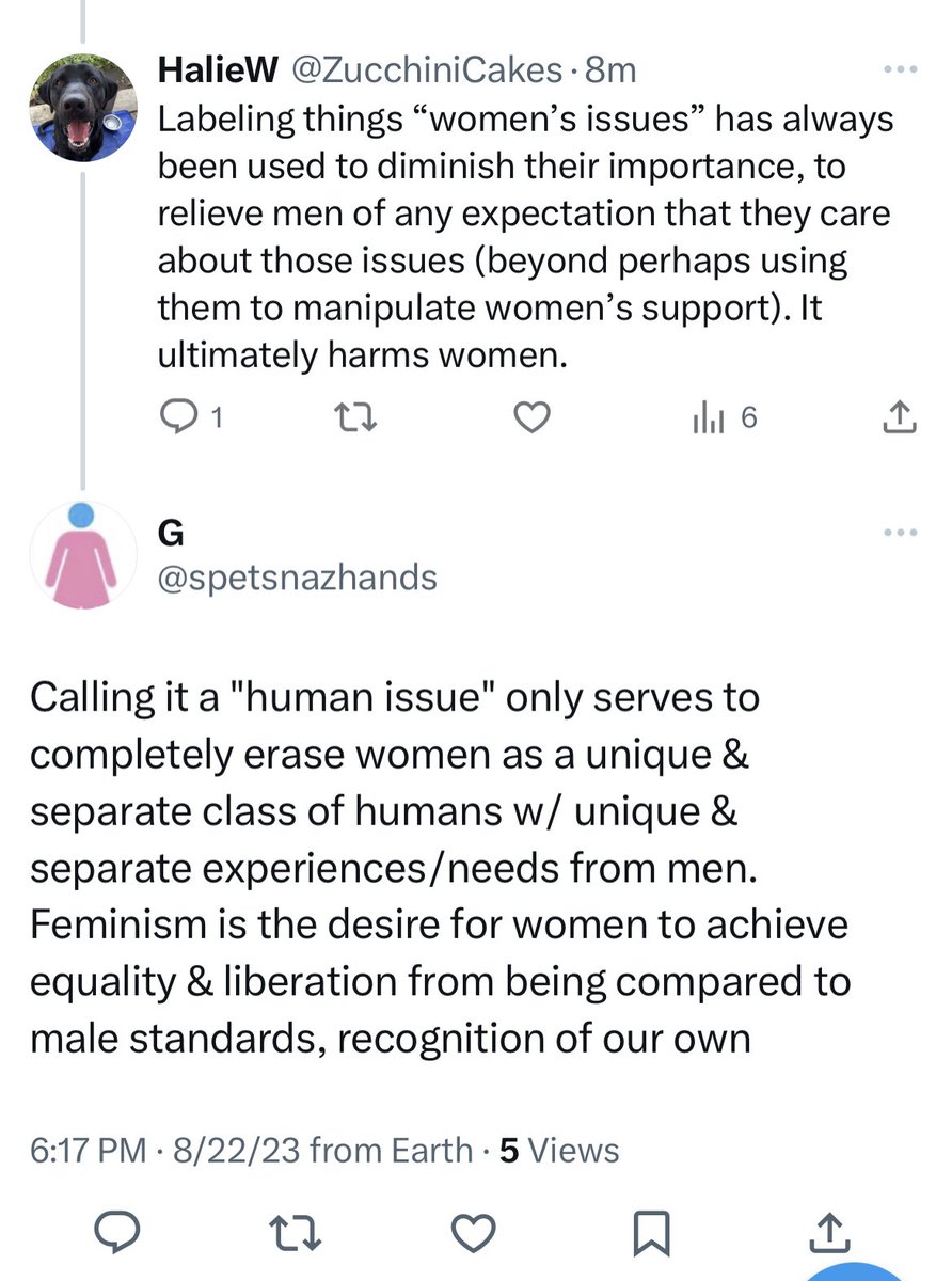“Women as a separate class of human” 🫠

Yeah, because that idea hasn’t been used to harm &amp; oppress women since the dawn of civilization. 

Can they just not see that or is it worth it as long as it harms trans people more?