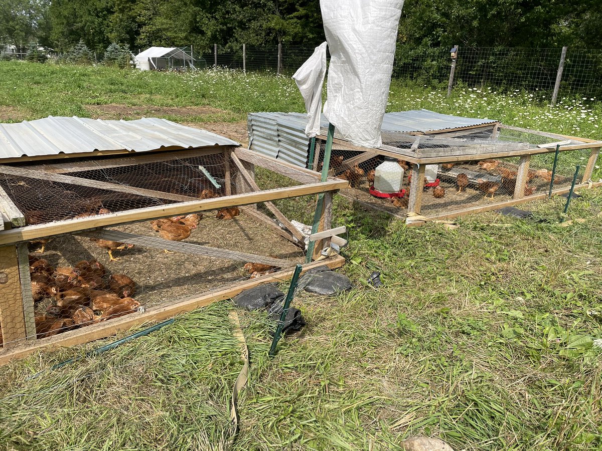 NRCS_NY's tweet photo. A big thank you to @CollectiveFarms for hosting us for an afternoon visit to the farm collective that includes 21 farms and 275 farmers. To learn more about NRCS assistance for  historically underserved producers, please visit https://t.co/qcrFfohn9R https://t.co/C44w1w9jEk