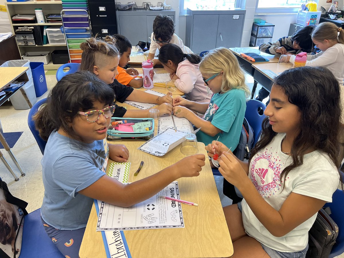 Amanda Cesak tweet media