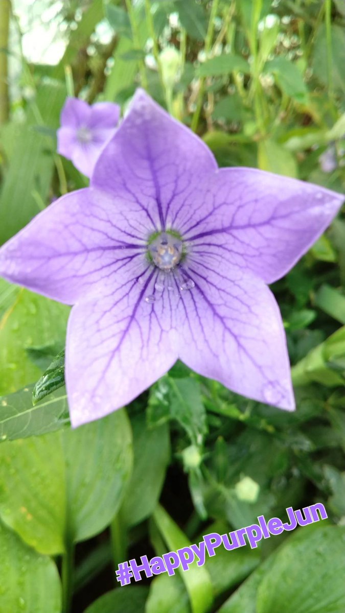 松本潤　パネル 一龍斎貞友の魅力とキャラクター | TikTok