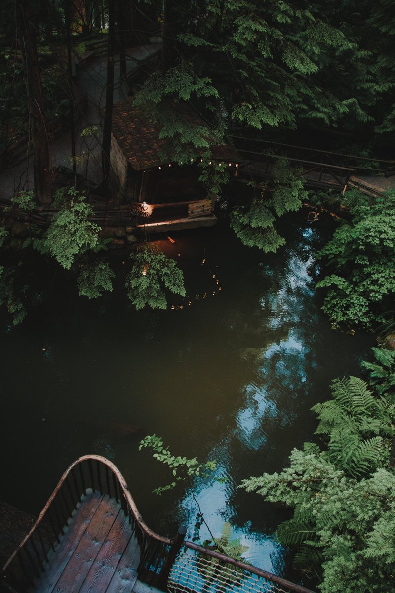 ReneCecena's tweet photo. Viví una gran aventura al cruzar el Capilano Suspension Bridge y sus 27 acres en Vancouver, Columbia Británica. Su impresionante belleza natural, acompañada de una caminata llena de adrenalina, te hacen disfrutar de una experiencia con vista panorámica a la selva tropical. 🇨🇦🌿🍄 https://t.co/Jr1Wggi9X5