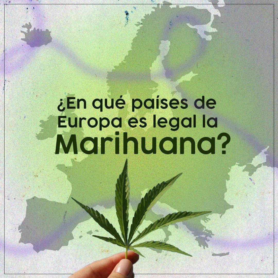 MexicoAtentomx's tweet photo. La #marihuana en #Europa: ¿mito o realidad su consumo legal?
#MexicoAtentoMx #MundoAtento #Internacional #Mundo https://t.co/rgGJ8pMpg0
