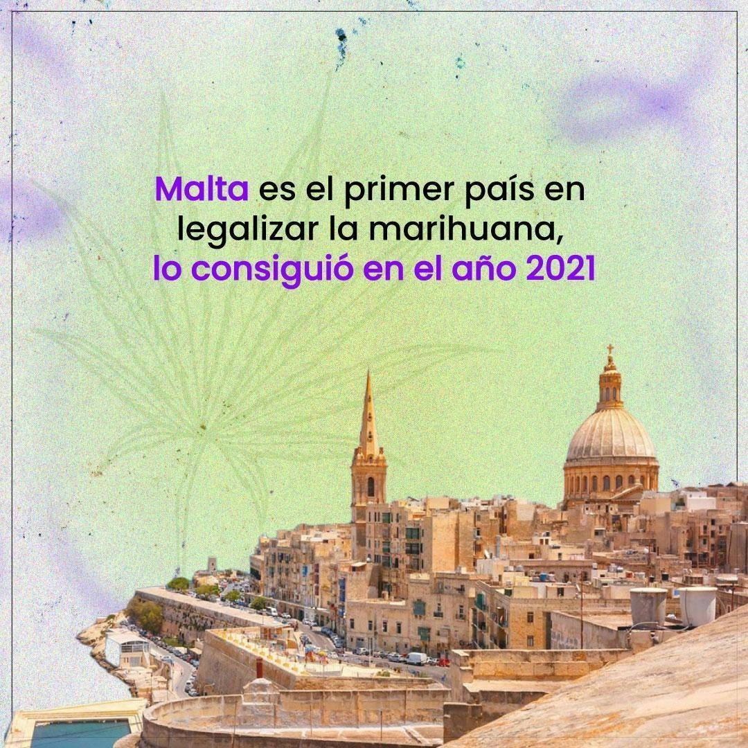 MexicoAtentomx's tweet photo. La #marihuana en #Europa: ¿mito o realidad su consumo legal?
#MexicoAtentoMx #MundoAtento #Internacional #Mundo https://t.co/rgGJ8pMpg0
