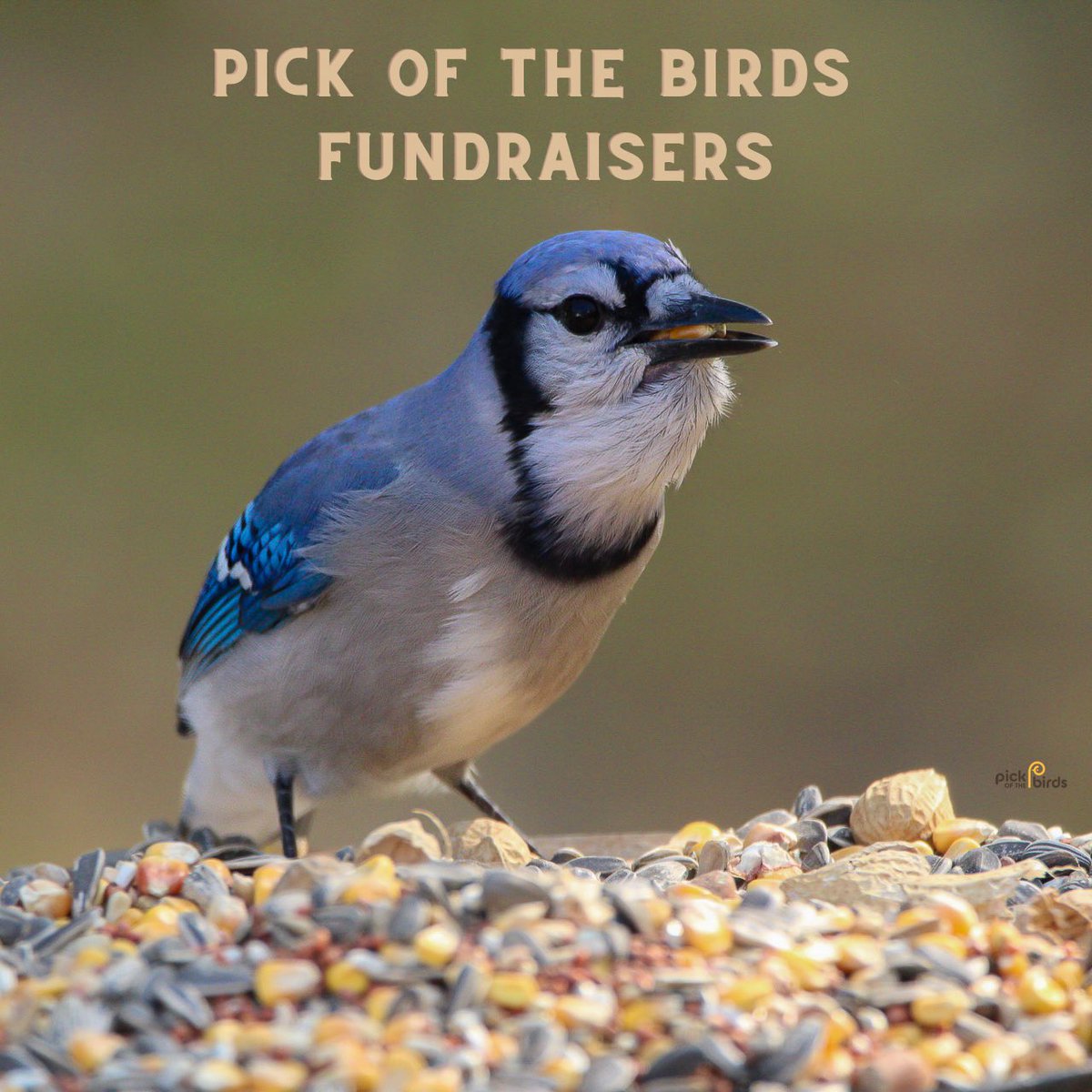 Are you part of an organization looking for a new and unique #fundraiser? Send us a message and we’ll hook you up with all the details you need to get started or answer any questions you may have!