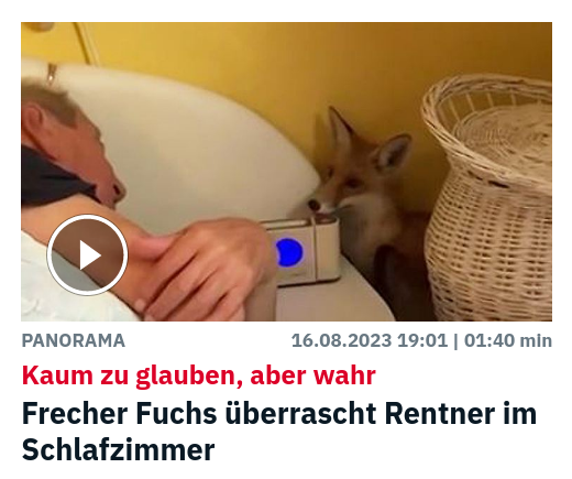 Frohen Fuchs-Freitag!

#FuchsFreitag:#FoxFriday