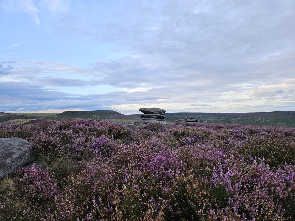 ArtistRob's tweet image. 