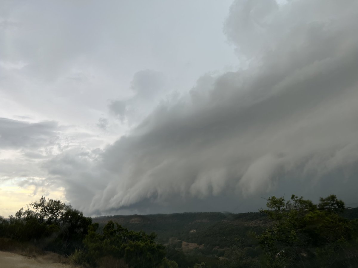 sexytexanbababe's tweet photo. You don’t know how happy we are to see rain. The temperature has dropped to 74°, which is cooler than our night time temperatures. Photo credit Cullen Brown. #txws #TropicalStormHarold https://t.co/PEDV8wX1Ha