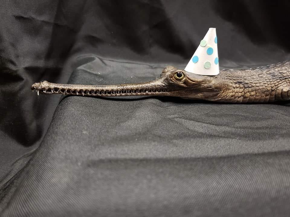 it is his birthday please wish him a happy birthday