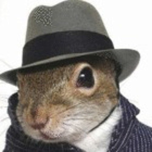 KirbyCheatFurby's tweet photo. if you see one o my boys.... tell em..... the mafia squirrel sent ya. https://t.co/4bc2dSBqSo