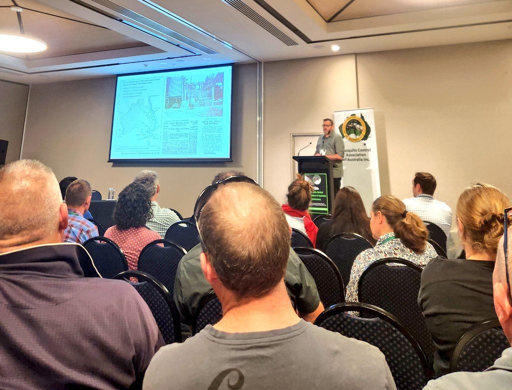 When you think of dengue you wouldn't think of Sydney, but as <a href="/Mozziebites/">Dr Cameron Webb</a> points out it was there once. He highlights that it's important to have a strategic response plan for exotic mosquito incursions in the future. The NSW team is on it! #mcaa2023