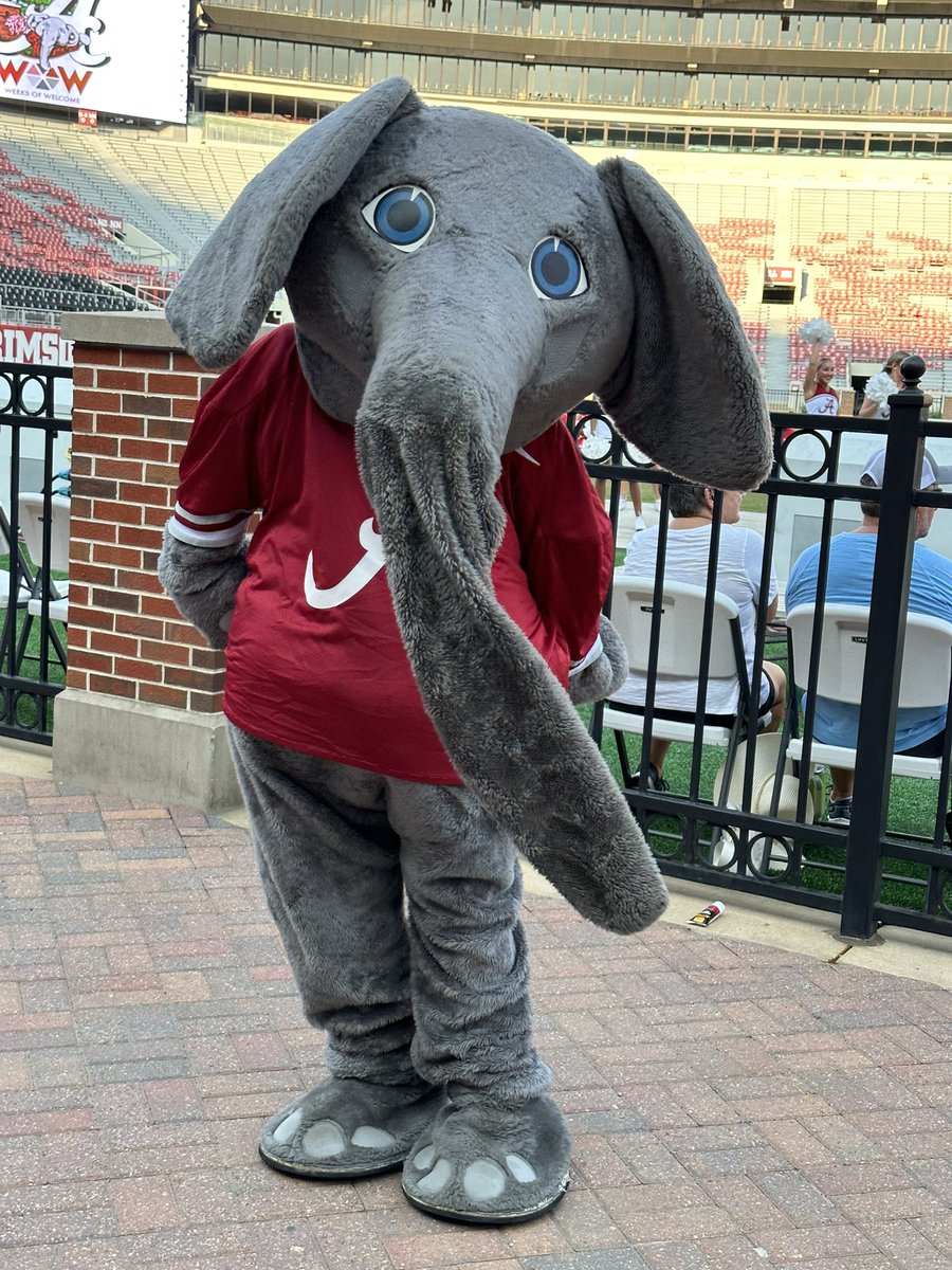 UofAlabama's tweet image. A party isn&apos;t a party until @ua_big_al walks in! 🥳

#RollTide #ScriptA #UA27 #WOW23