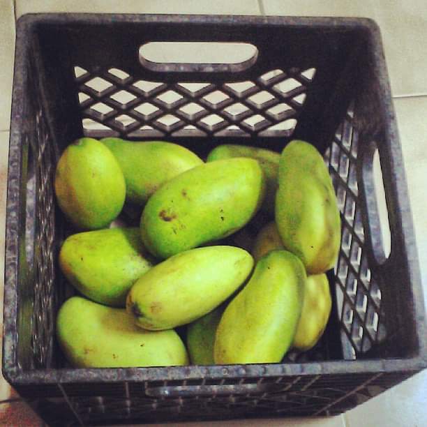 SandersBoston's tweet image. Men poukisa @CoralieSL manke fe yo kidnape nou anba lavi l la 10ans de cela. Bondye pi fo!